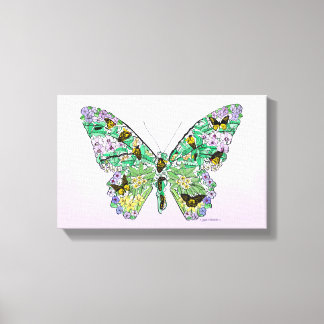 Lienzo Ciclo de vida de la mariposa