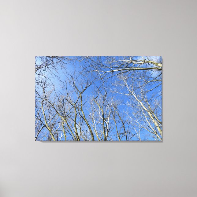 Lienzo Cielo azul, árboles en invierno (Anverso)