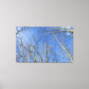 Lienzo Cielo azul, árboles en invierno