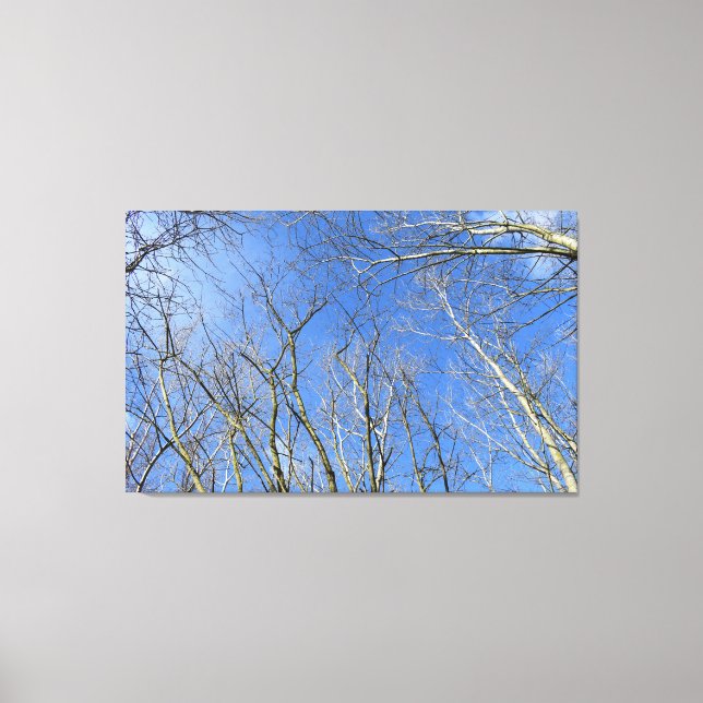 Lienzo Cielo azul, árboles en invierno (Anverso)
