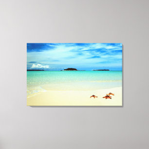 Lienzo Cielo azul, arena blanca y estrellas de mar el  