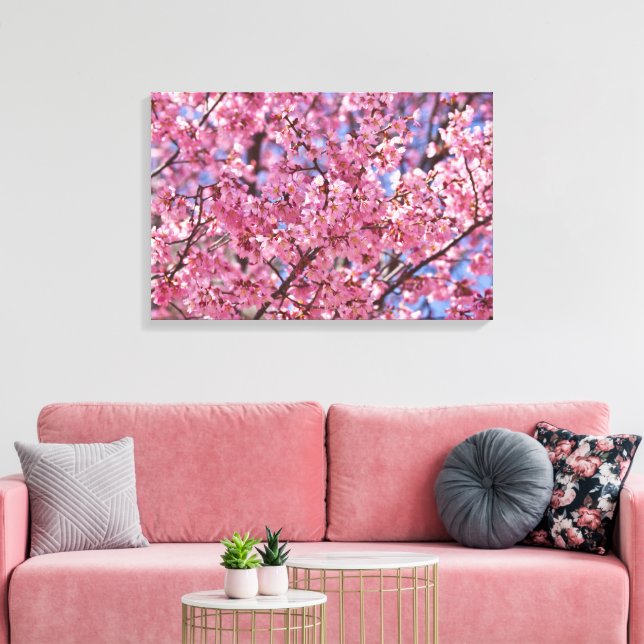 Lienzo Cielo de flores de cerezo rosado de Sakura (Insitu (Sala de estar))