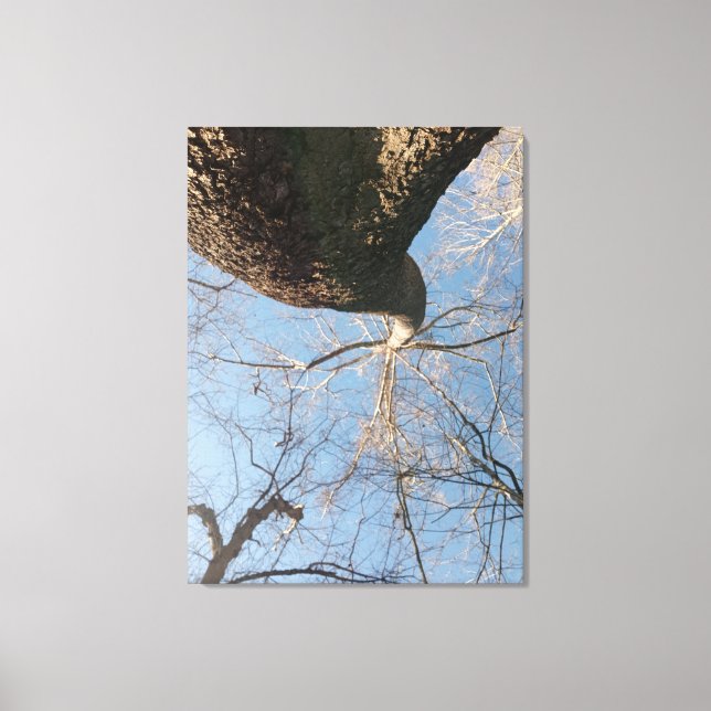 Lienzo Cielo el límite (Anverso)