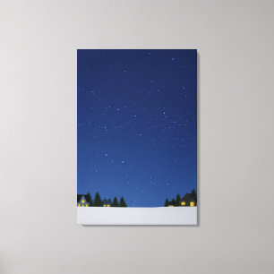 Lienzo Cielo en la noche 2