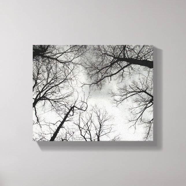 Lienzo Cielo nublado de árboles de invierno (Anverso)