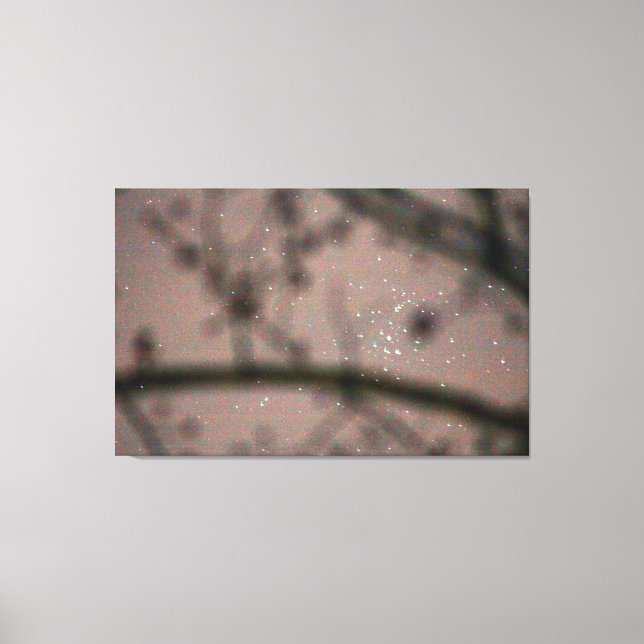 Lienzo Cielos estrellados vistos a través de ramas de árb (Anverso)