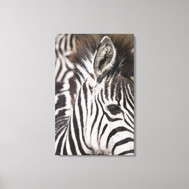 Lienzo Cierre de cebra (Anverso)