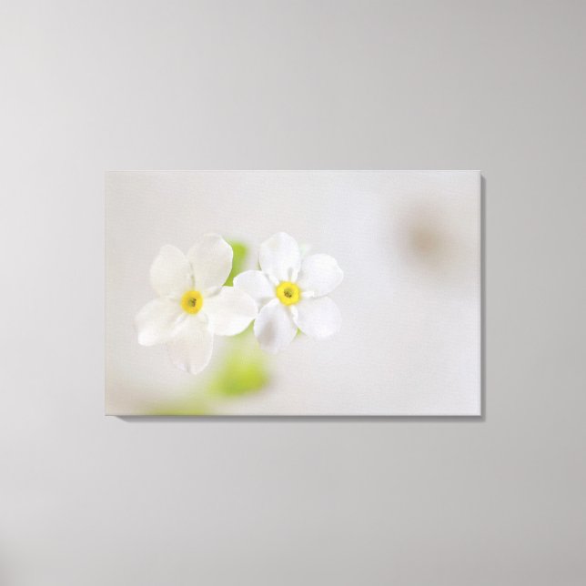 Lienzo Cierre de flores 2 (Anverso)