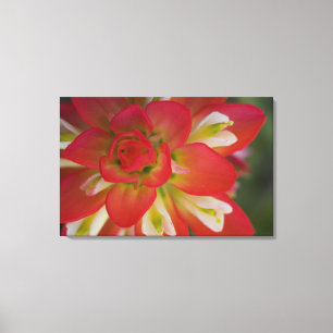 Lienzo Cierre de la Pintura India cerca de Gay Hill,