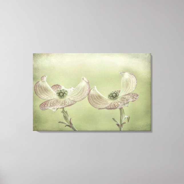 Lienzo Cierre de los florecimiento de dogwood rosado | Ca (Anverso)