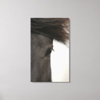 Cierre de ojos y pelo de caballo