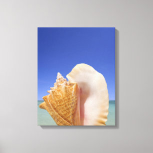 Lienzo Cierre de Shell del mar para arriba