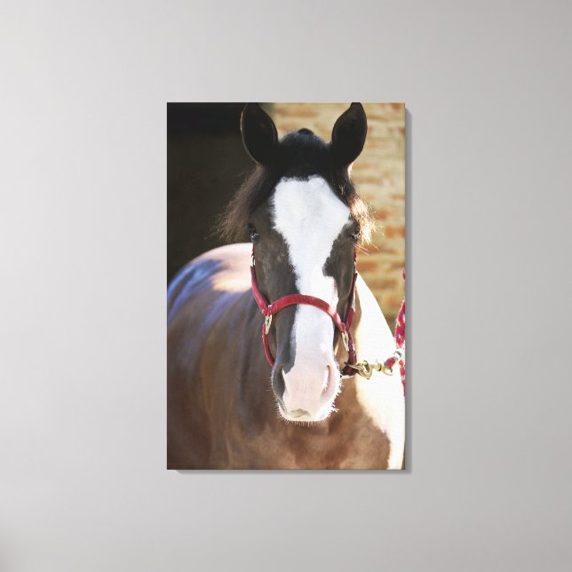 Lienzo Cierre de un caballo atado en un establo (Anverso)