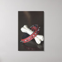 Cierre de un collar para mascotas y un hueso para 