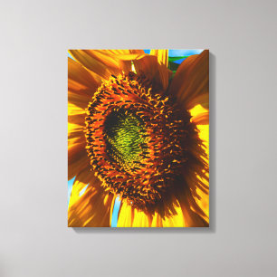 Lienzo Cierre de un girasol