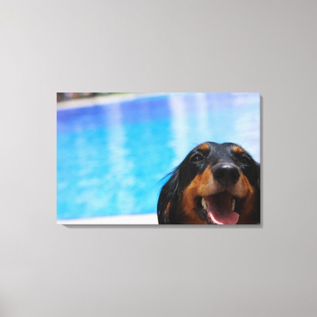 Lienzo Cierre de un jadeo de perro de Dachshund (Anverso)