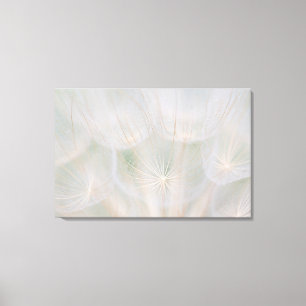 Lienzo Cierre de una cabeza de semilla, Canadá