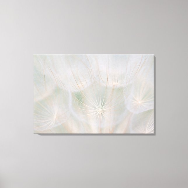 Lienzo Cierre de una cabeza de semilla, Canadá (Anverso)