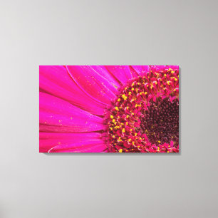 Lienzo Cierre de una margarita Gerber