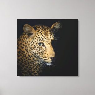 Lienzo Cierre del Leopard, Gran Kruger Nacional 2