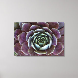 Lienzo Cierre Purple Succulent