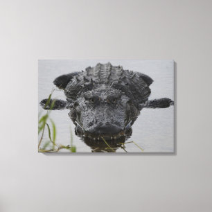 Lienzo Cierre y personal