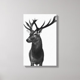 Lienzo Ciervo