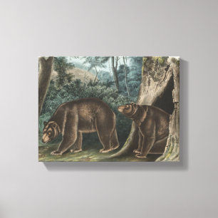 Lienzo Cinnamon Bear Audubon
