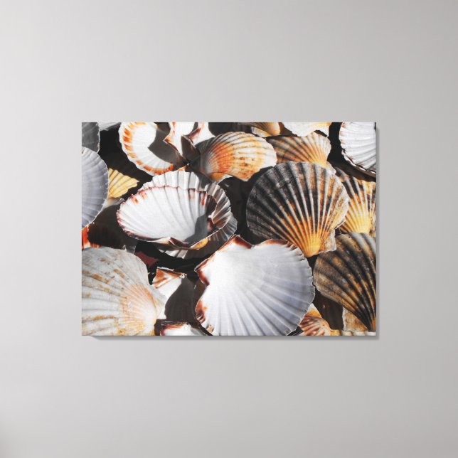 Lienzo Cintas de vieira (Anverso)