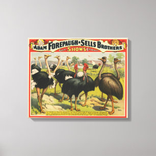 Lienzo Circo Vintage Con Ostriches Y Aves Grandes.