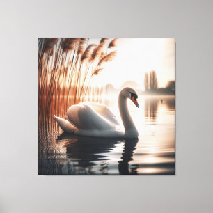 Lienzo Cisne Blanco En Un Estanque