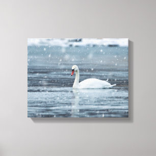 Lienzo Cisne en condiciones invernales de nieve