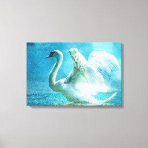 Lienzo Cisne mágico durante una ducha de verano