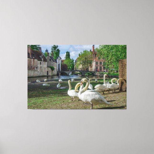 Lienzo Cisnes blancos en el centro de Brujas (Anverso)