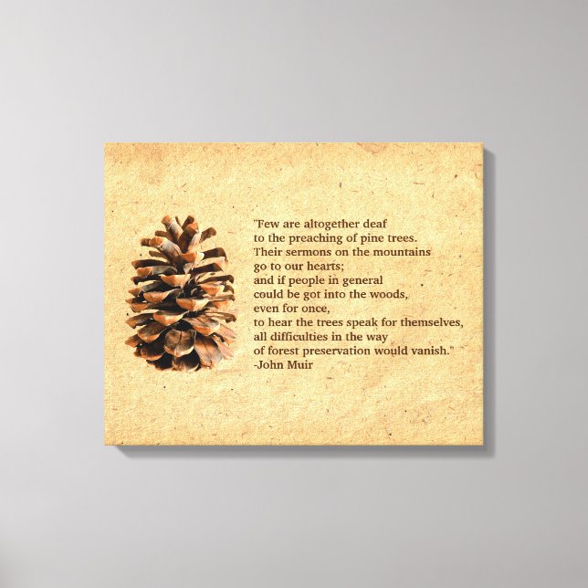 Lienzo Cita De Pine Cone Y John Muir (Anverso)