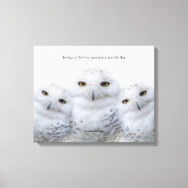 Lienzo Cita inspiradora astuta sabiduría de las lechuzas