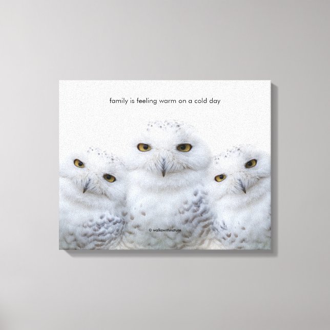 Lienzo Cita inspiradora astuta sabiduría de las lechuzas  (Anverso)