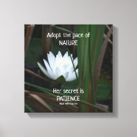 Citación Inspiradora de Patience Emerson Lotus