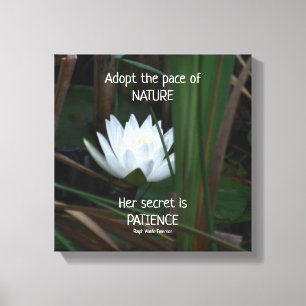 Lienzo Citación Inspiradora de Patience Emerson Lotus