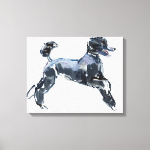 Lienzo Clase Sheer 2013