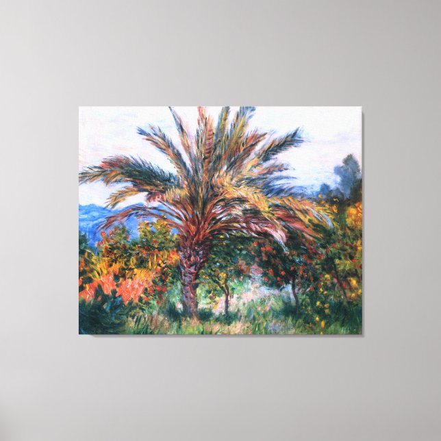 Lienzo Claude Monet: Palmera en Bordighera (Anverso)
