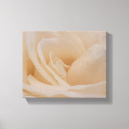 Lienzo Clausura de Rosa de color crema