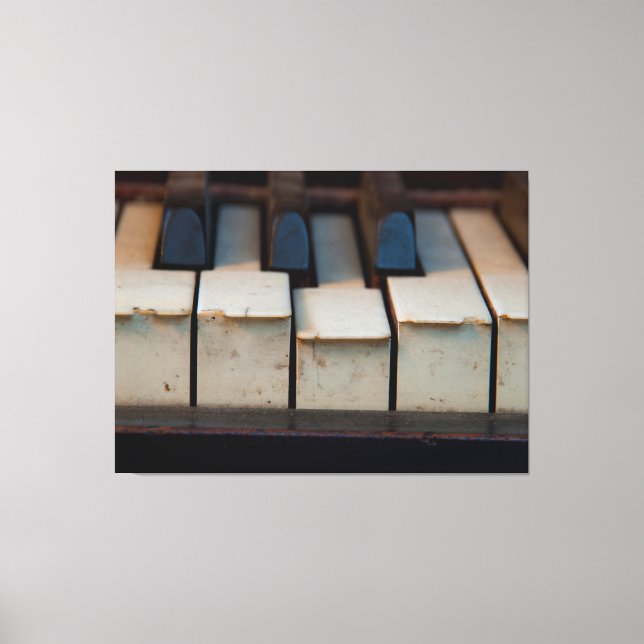 Lienzo Claves de piano en capucha de Schultz (Anverso)