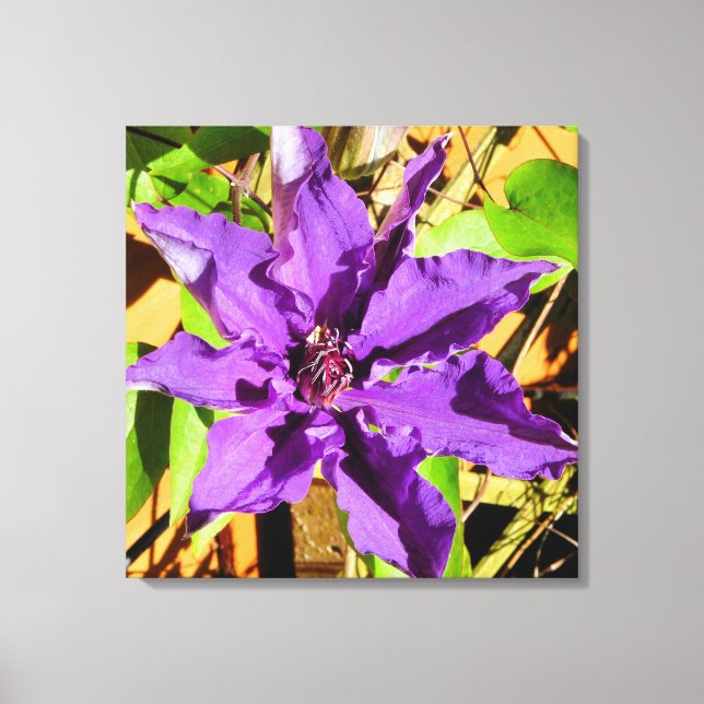 LIENZO CLEMATIS FLOWER (Anverso)