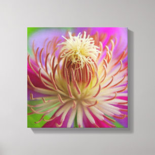 Lienzo Clematis I