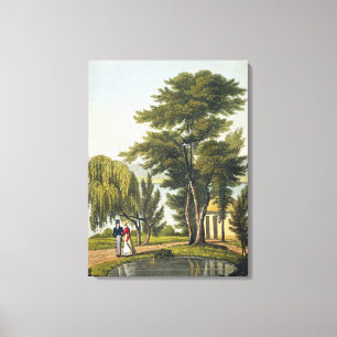 Lienzo Clifton, de 'The Naturama, or, the Nature's Endles