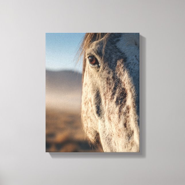 Lienzo Close-Up White Horse Sunrise Portrait (Anverso)