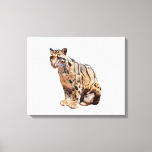 Lienzo clouded leopard photograph jungle big cat animal  