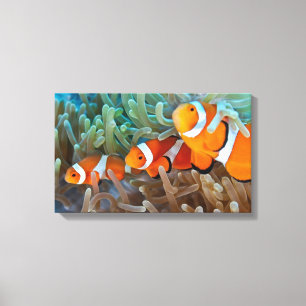 Lienzo Clownfish