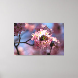 Lienzo Clúster De Flores De Sakura En Bloom